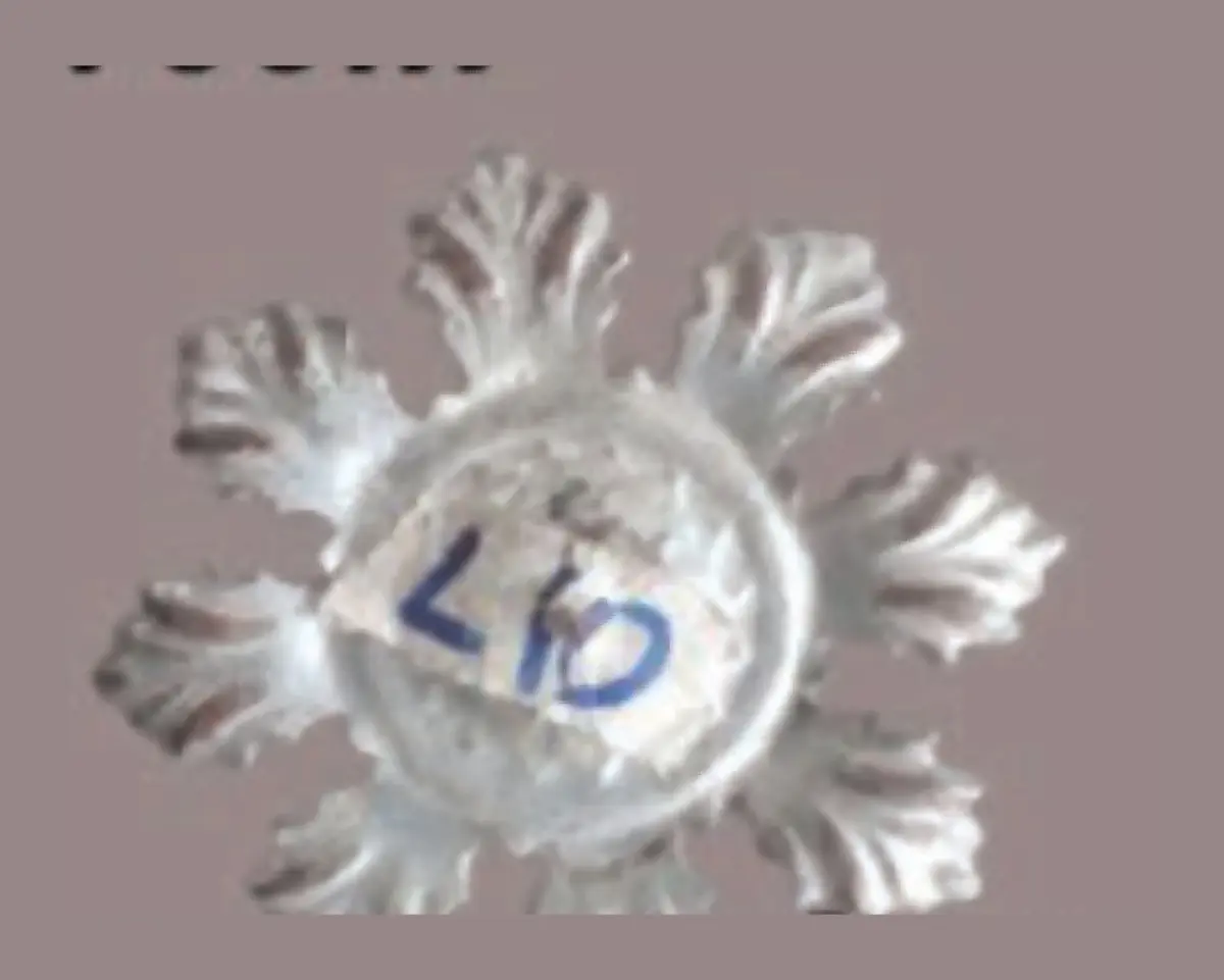 L10 Rosettes, Flowers & Cast Décor Cast décor, metallic — Deco Blossom Kenya
