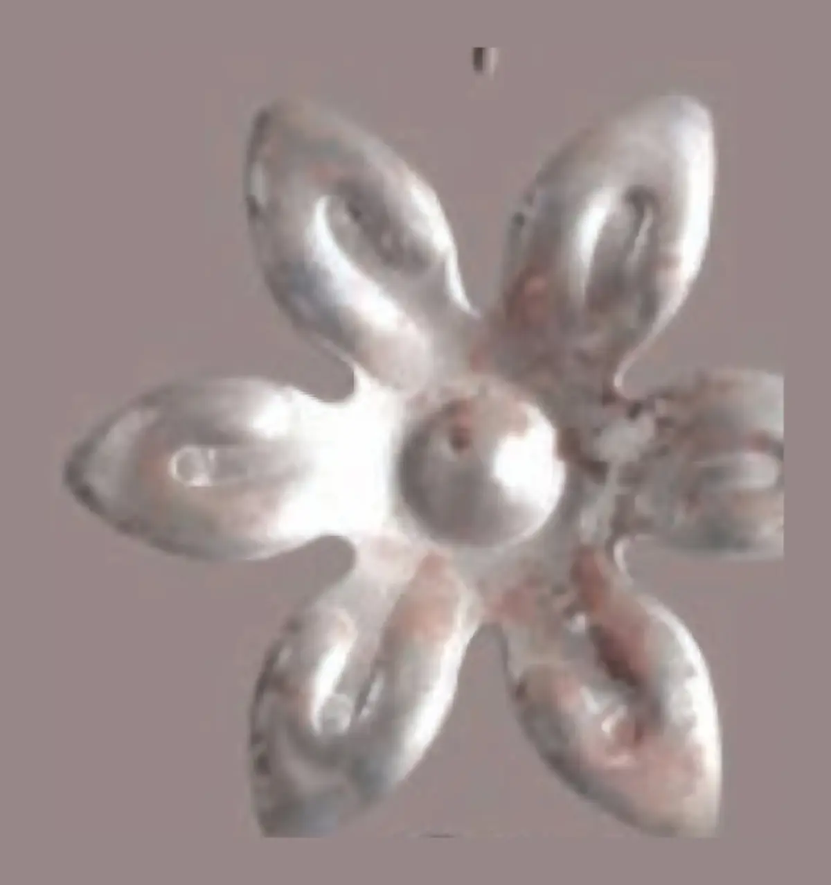 L14 Rosettes, Flowers & Cast Décor Cast décor, metallic — Deco Blossom Kenya